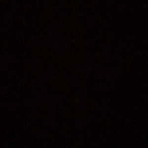 Meet your Posher, Lexi